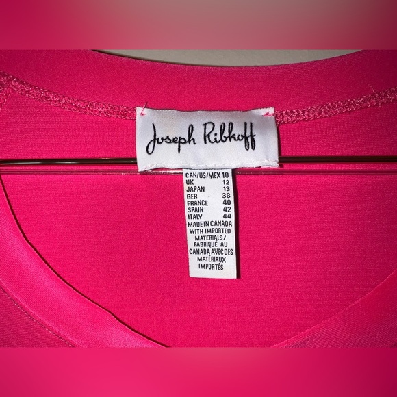 Joseph Ribkoff Pink Ruffle Hem Flutter Sleeve Blouse Size 10 - Picture 4 of 6